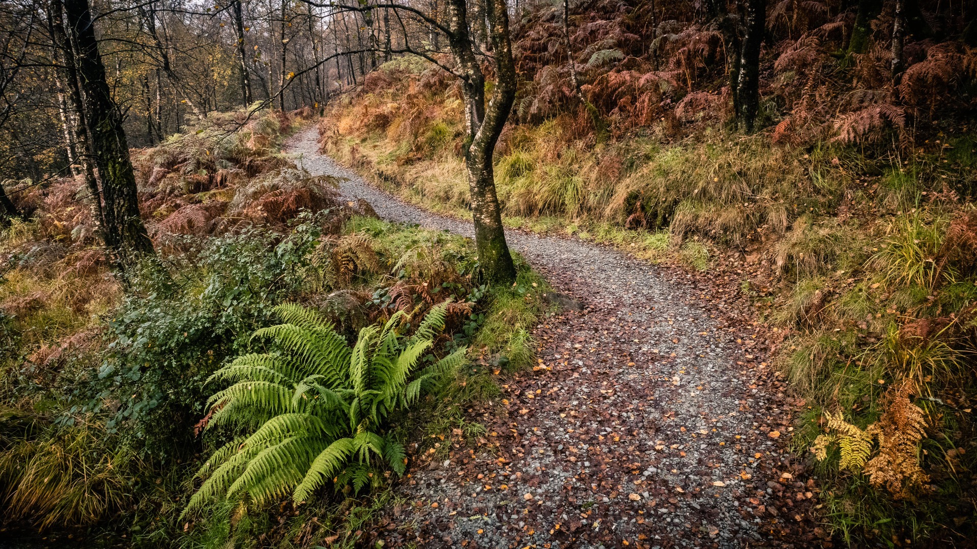 Enjoy the Journey: Why the Struggle is the Point