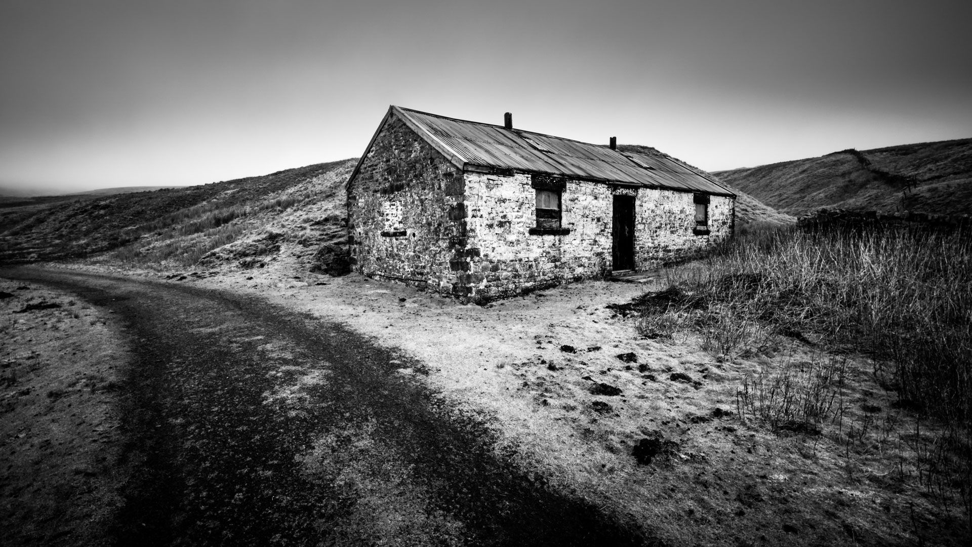In the Moment: The Camera as a Window to the Present