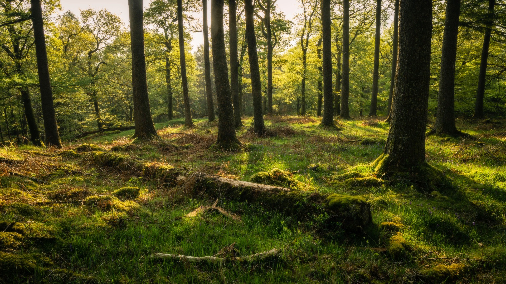 Put Yourself in the Frame: The Secret to Meaningful Photography