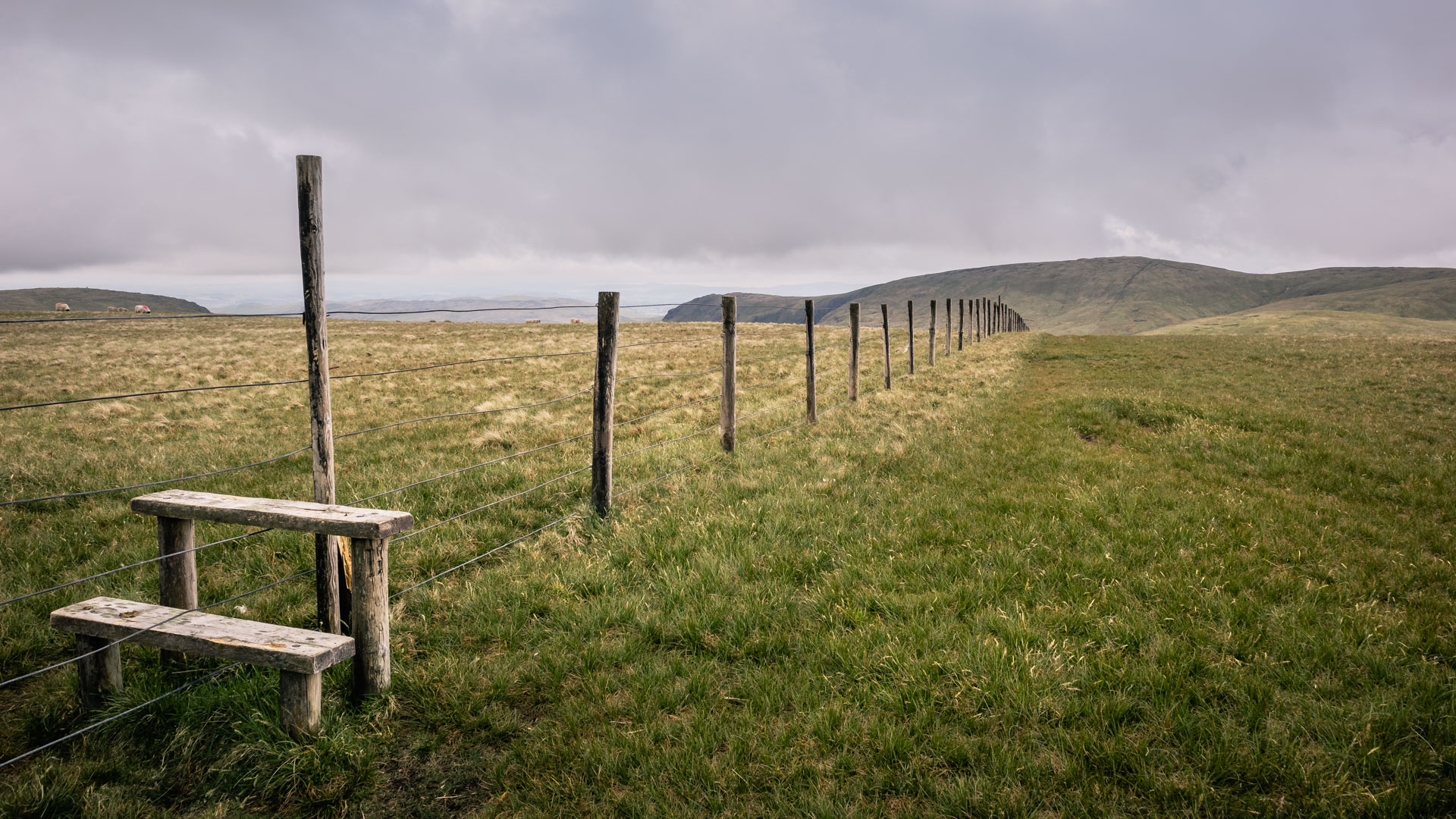 In Pursuit of Connection: The Foundation of Meaningful Photography