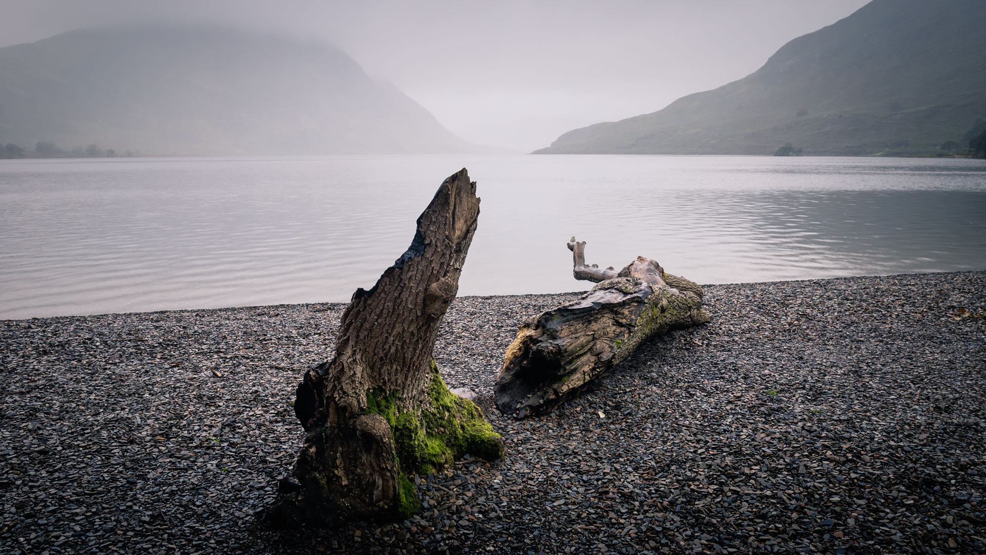 The Missing Piece: What Your Photos Aren’t Saying