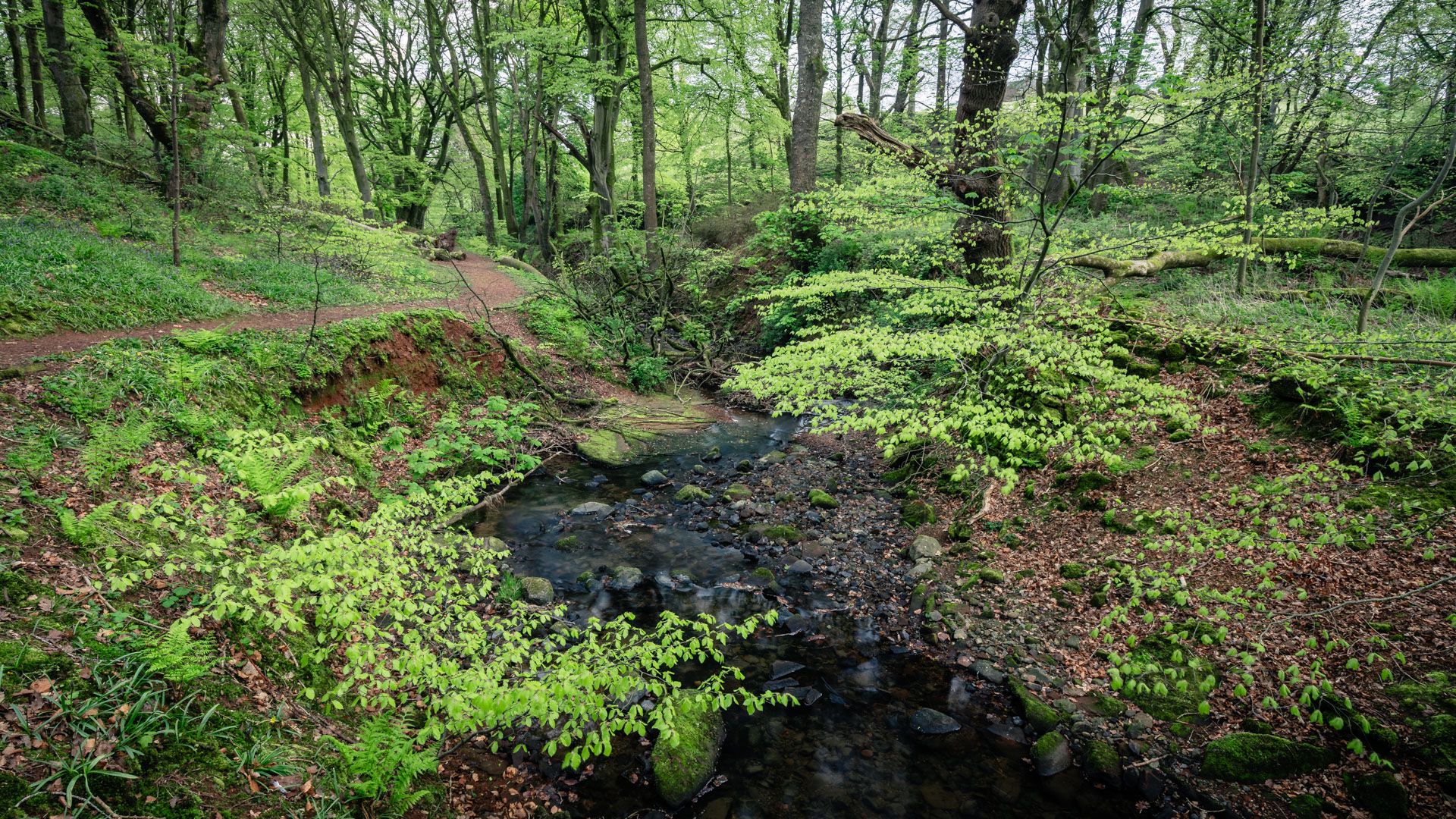 Novelty and Familiarity: Why Landscape Photographers Need Both