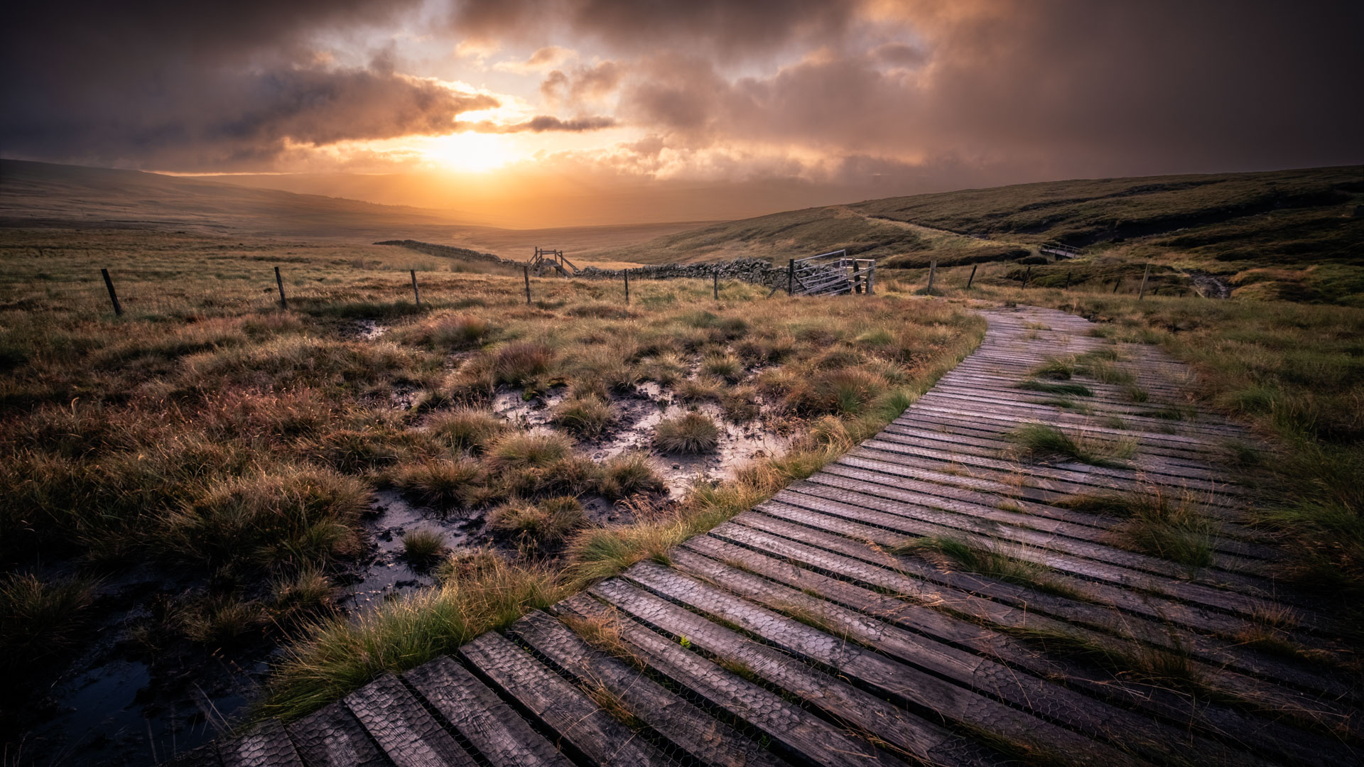 The Photographs We Don’t Take: Learning When NOT to Press the Shutter