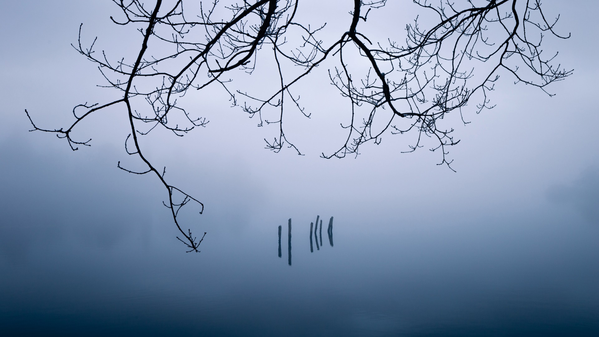 Photography as Philosophy: Let’s Agree to Disagree