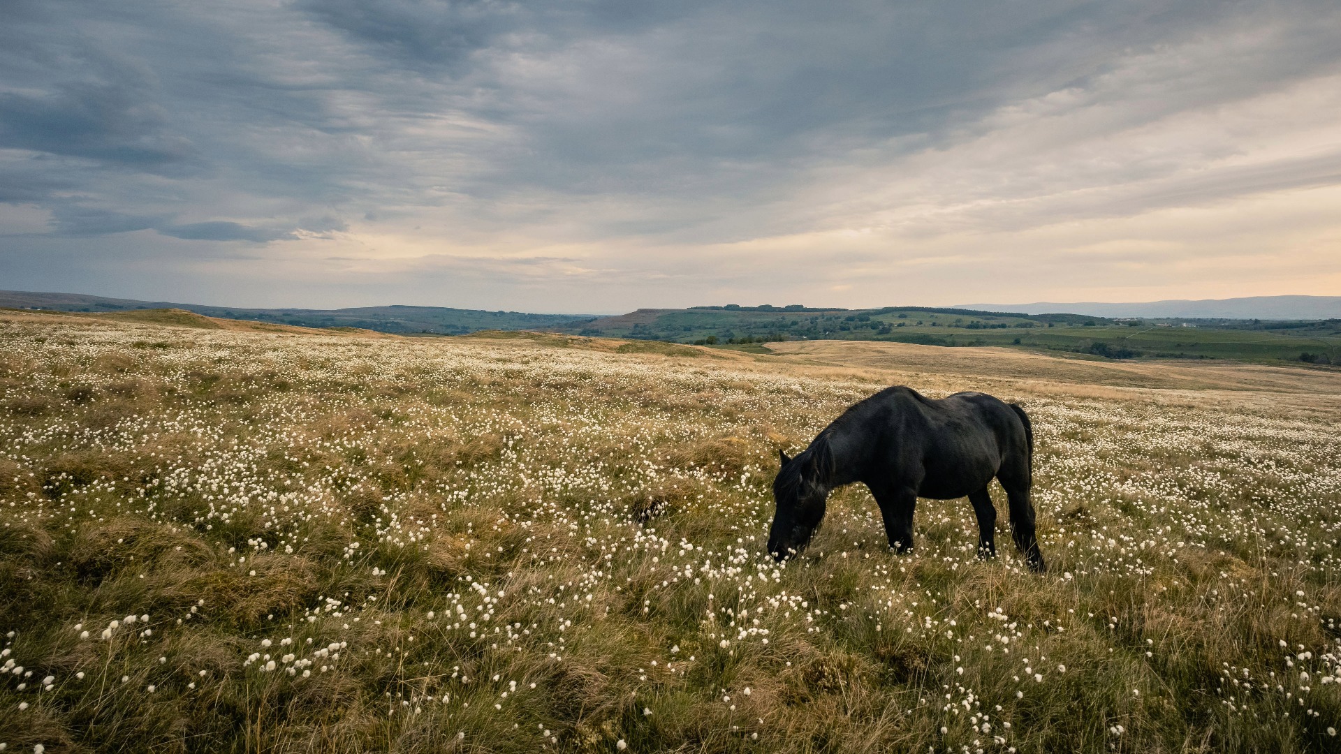 Sharing the Journey: Dispelling the Myth of the Lone Photographer