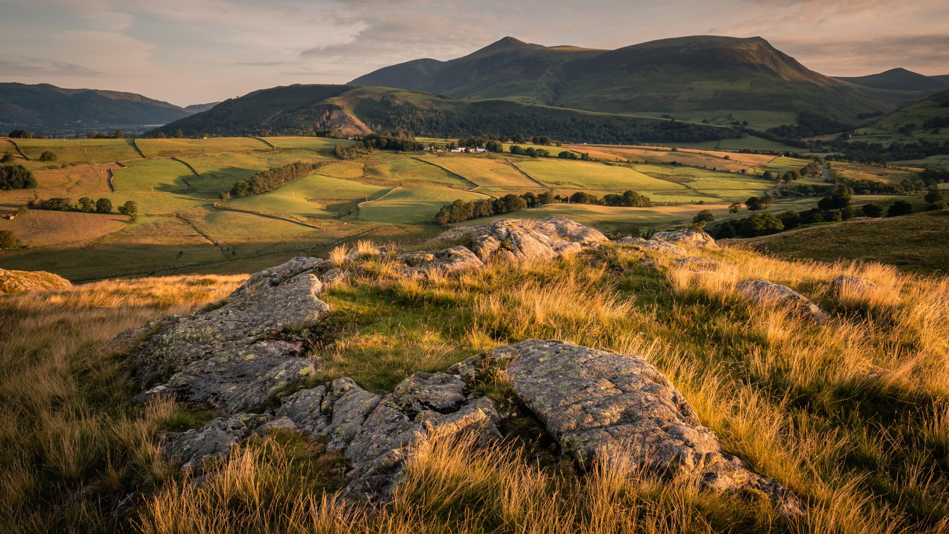 Sharing Your Work: Why Your Photos Want to Be Seen