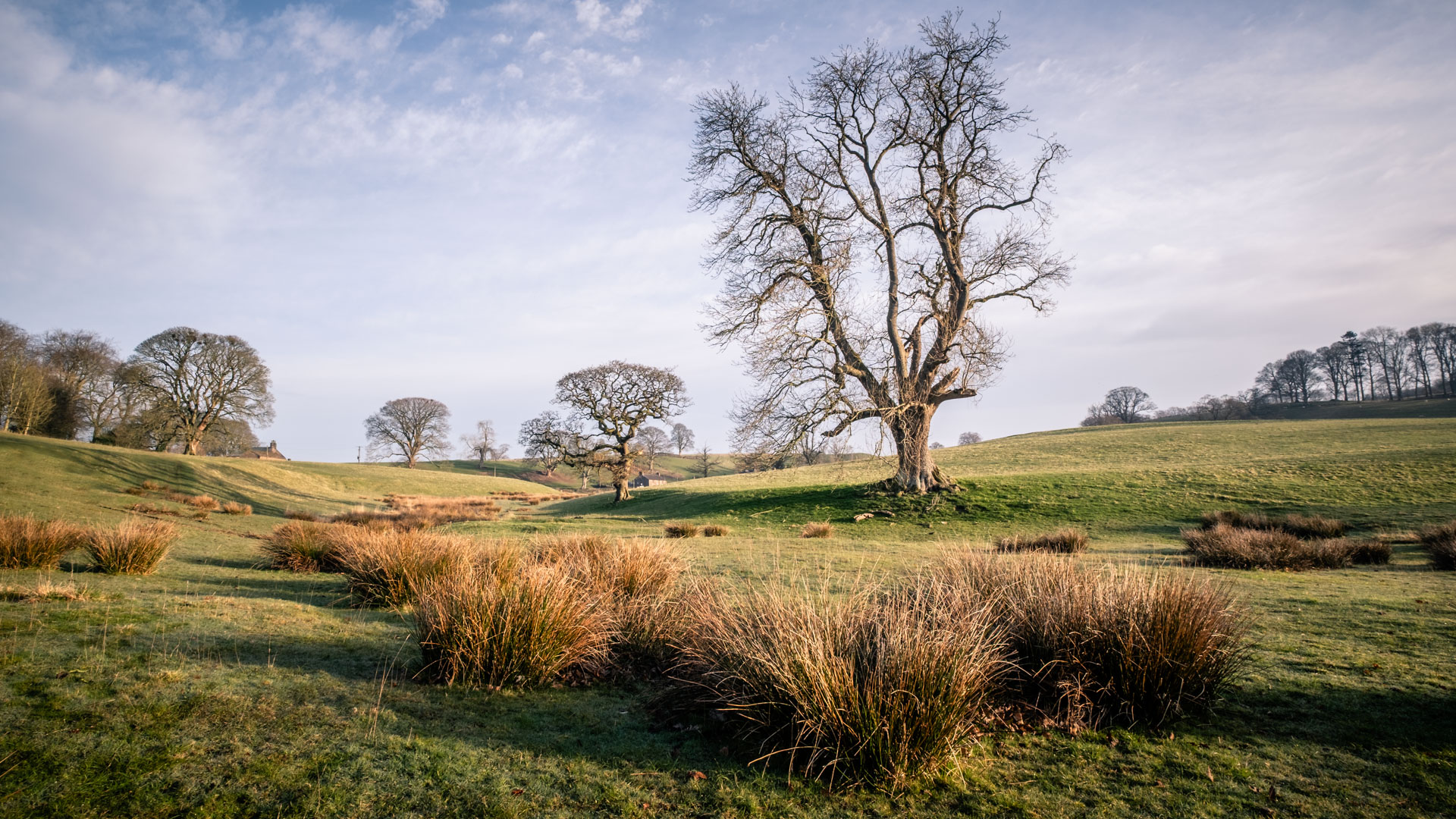 The Pleasure of Progress: Why Getting Better Makes Photography More Enjoyable