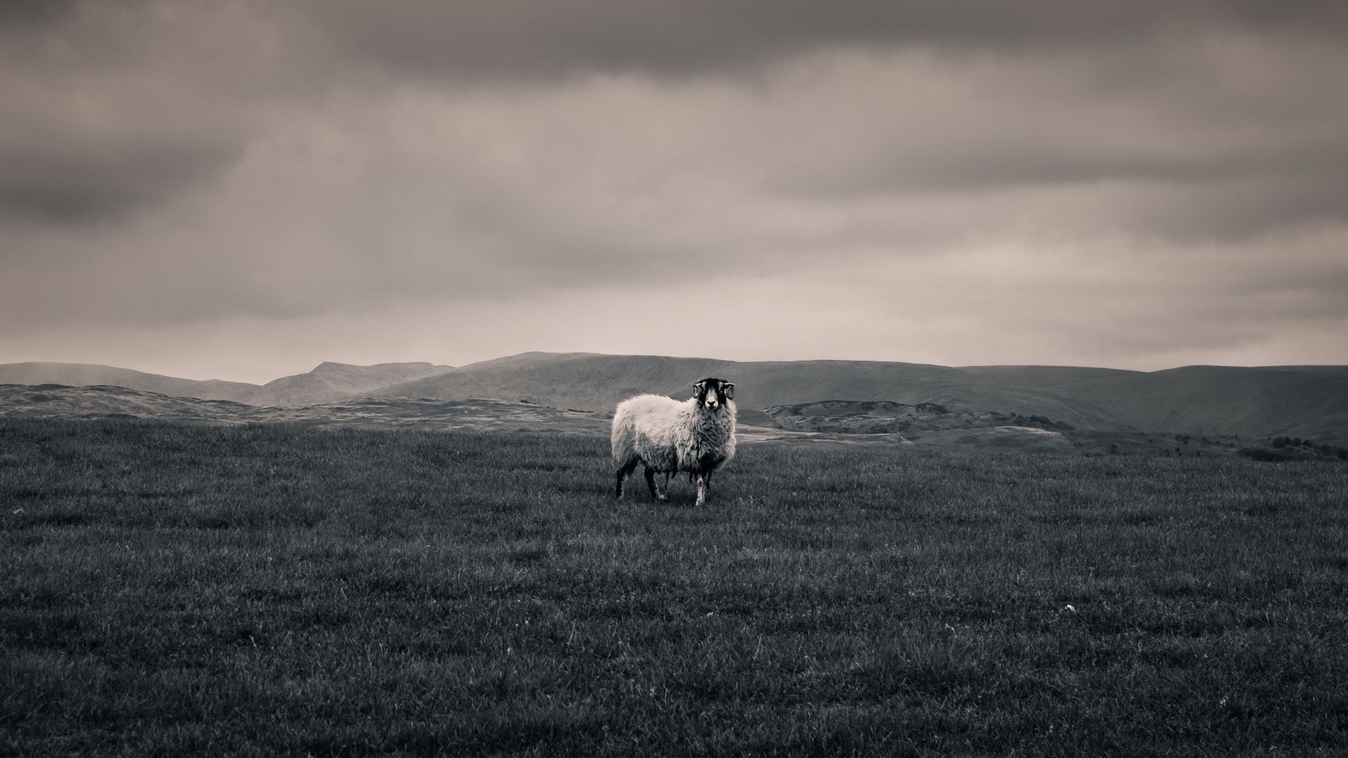 Who Are You Trying to Impress?: The Difference Between Recognition and Approval